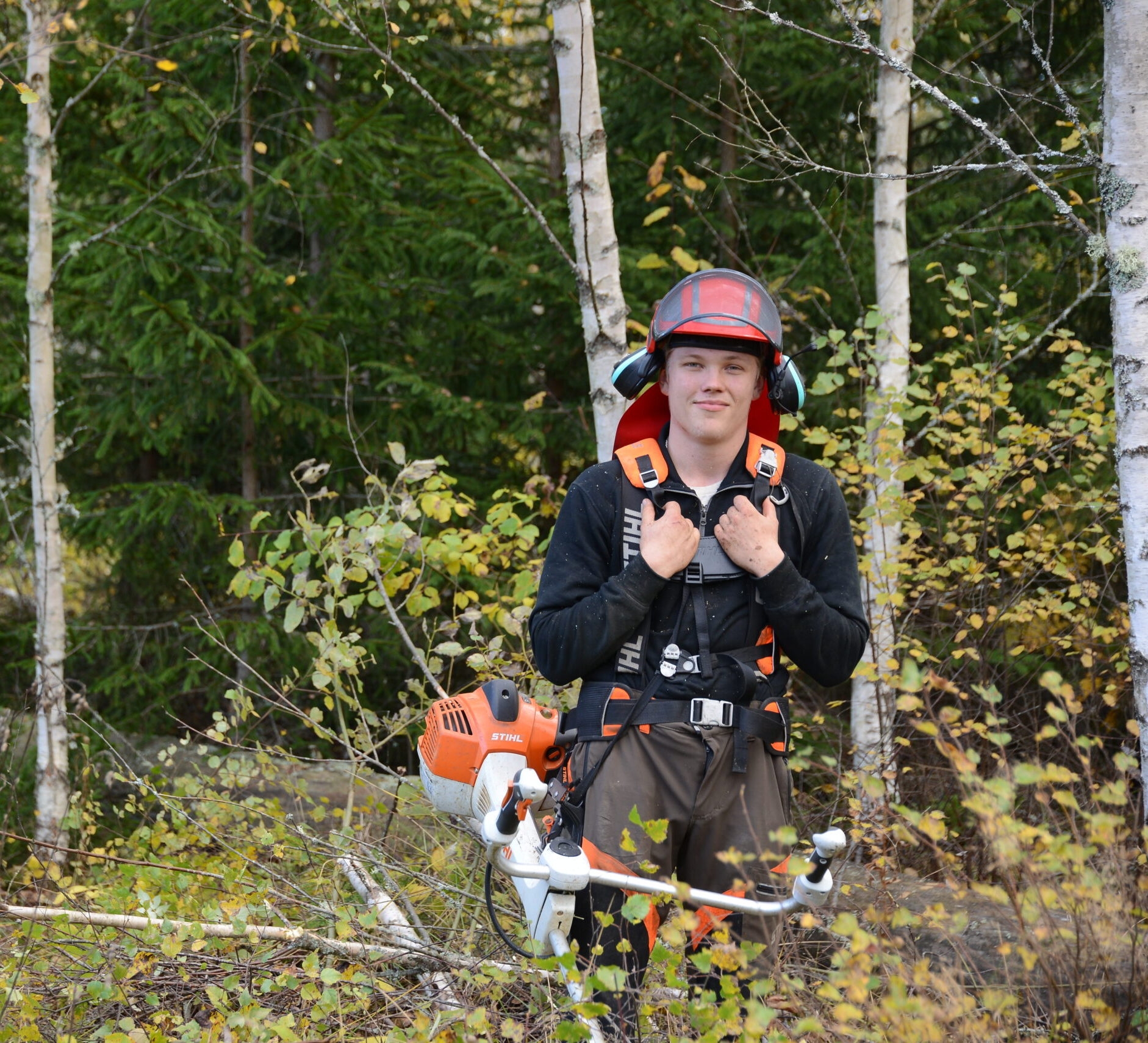 När är det dags för röjning?