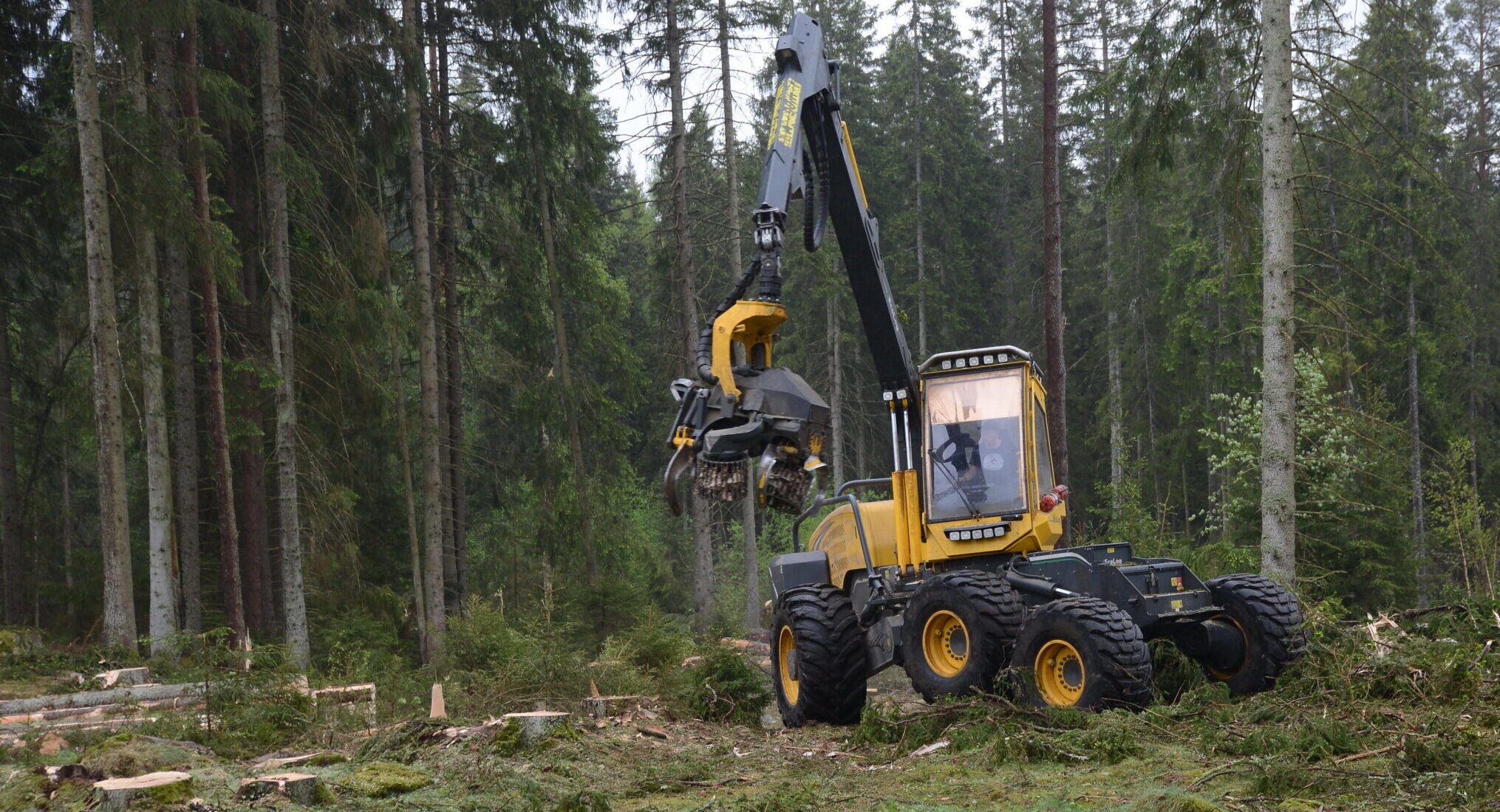 Fullskalig skogsservice