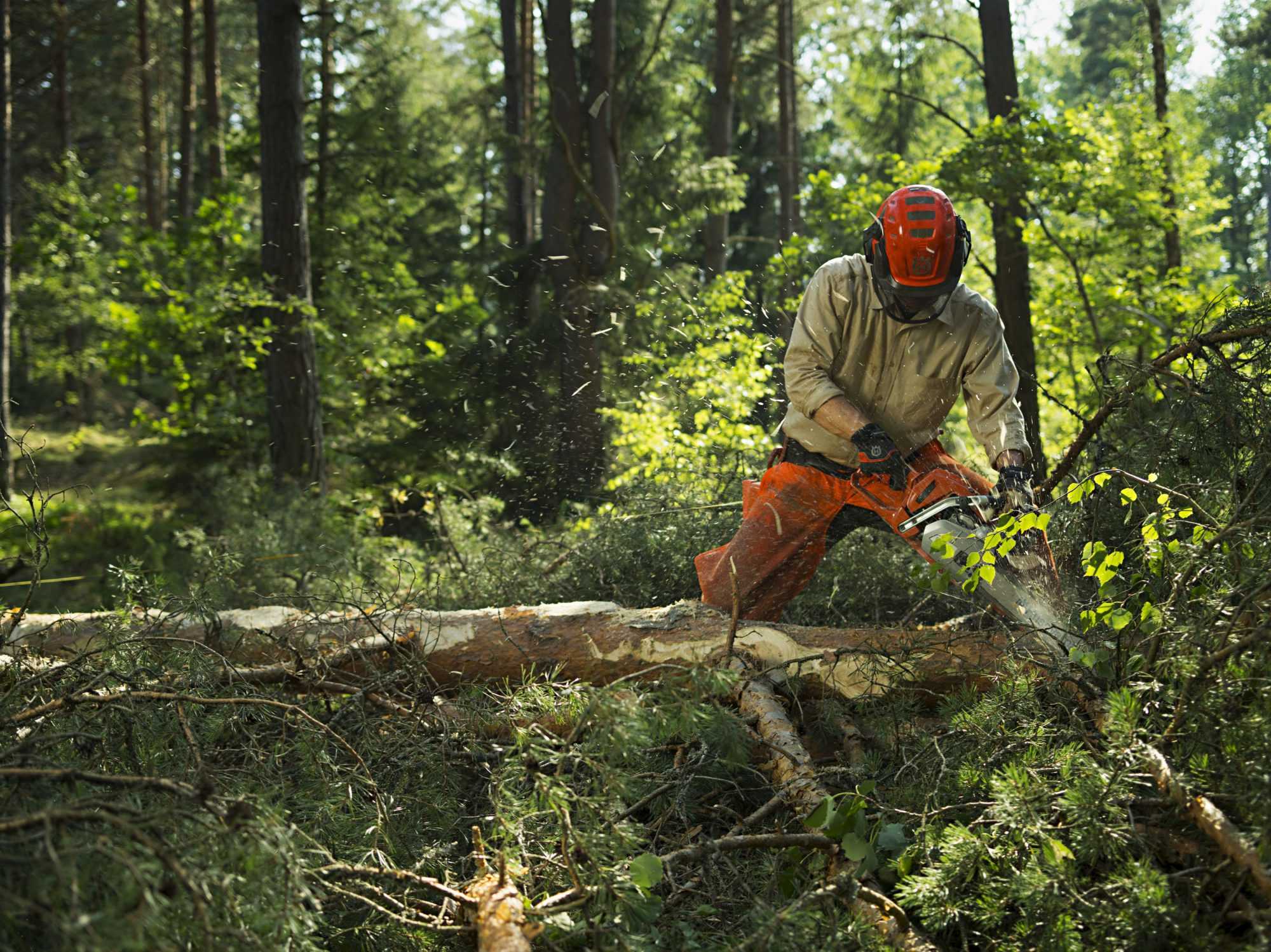 Besök Floda Skog & Trädgård på torsdag!